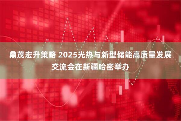 鼎茂宏升策略 2025光热与新型储能高质量发展交流会在新疆哈密举办