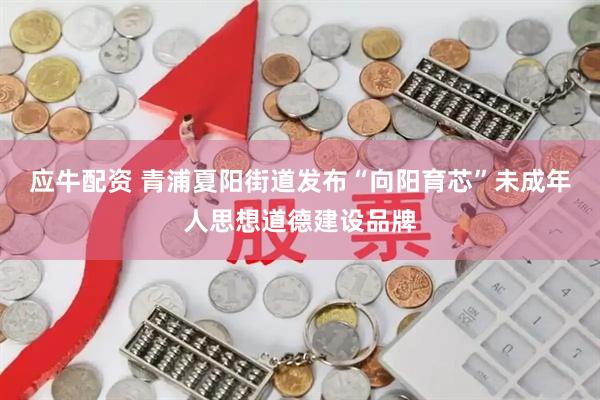 应牛配资 青浦夏阳街道发布“向阳育芯”未成年人思想道德建设品牌
